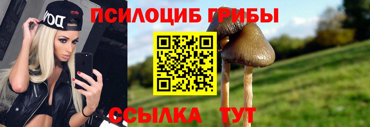 Россия  Псилоцибиновые грибы мицелий  Вход с VPN 